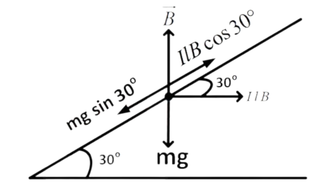 NEET 2018 Physics - Moving Charges and Magnetism Question 15 English Explanation